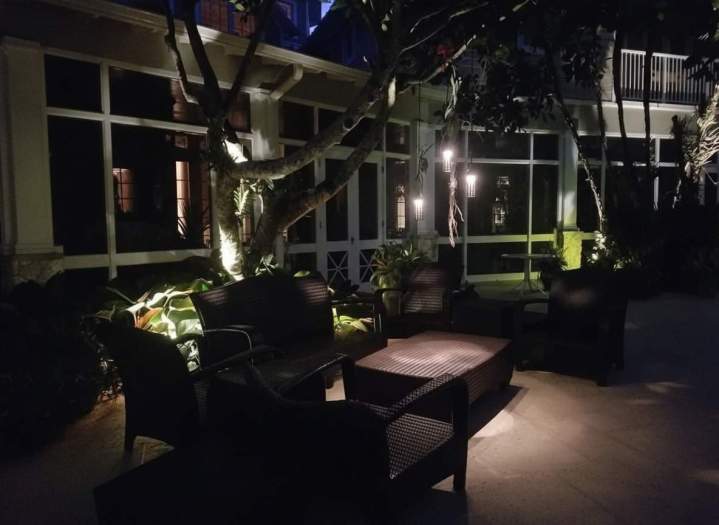 Trees Lighting Doral